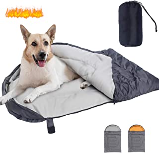 top dog bed for backpacking